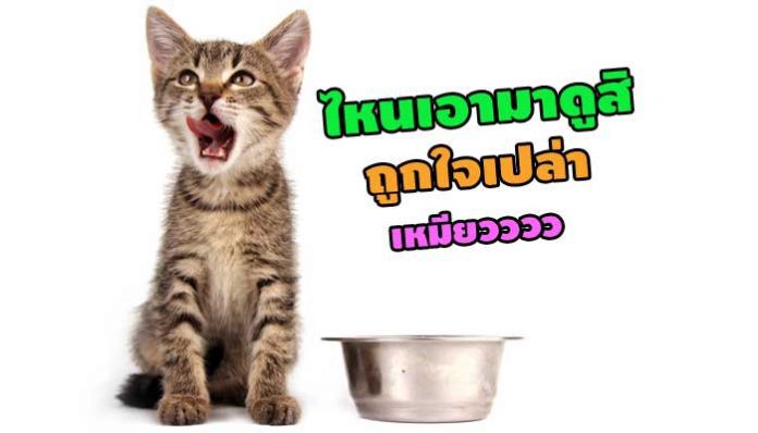 cover-5-696x398