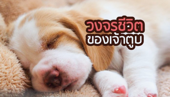 cover-9-696x398