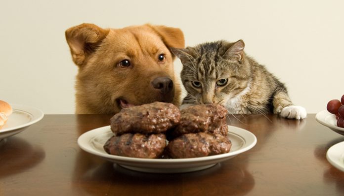 iStock-147255670-WebSubstance-700x400-cover-696x398