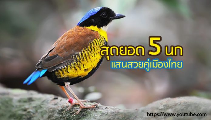 cover-2-696x398 (1)