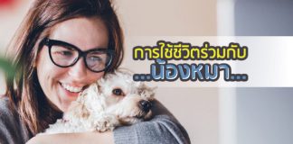การเลี้ยงสุนัข