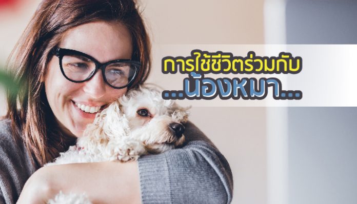 การเลี้ยงสุนัข การเลี้ยงสุนัข