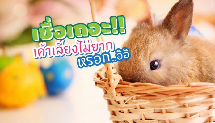 iStock-155354240-cover