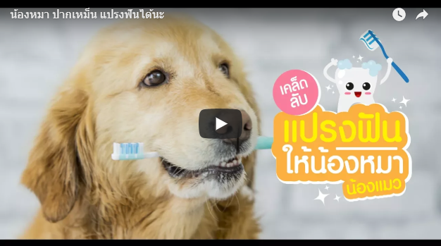 น้องหมา ปากเหม็น