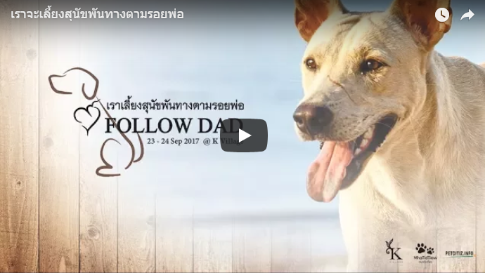 เราจะเลี้ยงสุนัขพันทาง