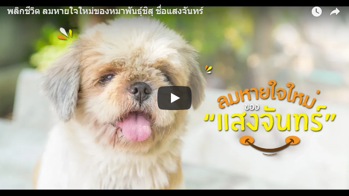 พลิกชีวิตแสงจันทร์