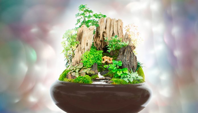 iStock-485081902-24d8bd43_811-700x400-cover-696x398